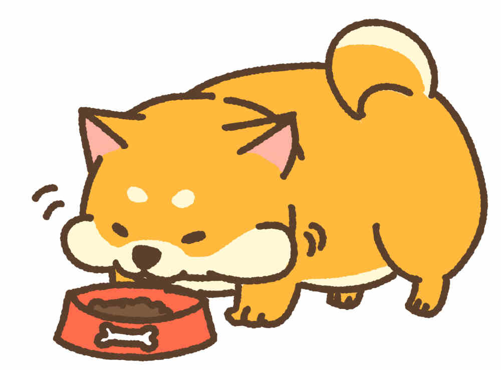 ごはん 相談