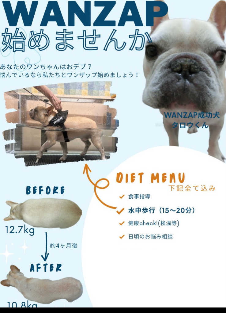 犬 減量