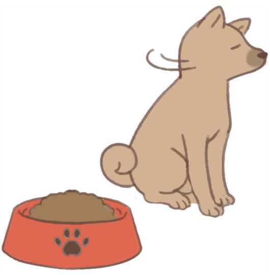 ハリネズミ 血尿
