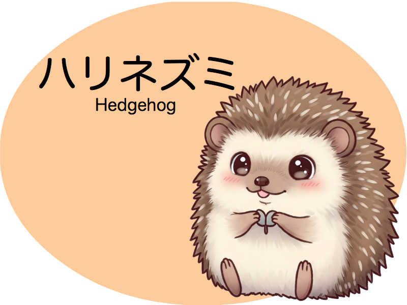 ハリネズミ　診察