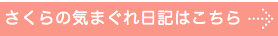 犬　猫　フード