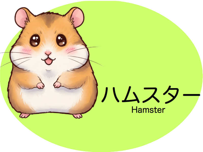 ハムスター　診察