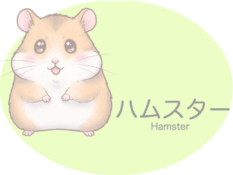 ハムスター　診察