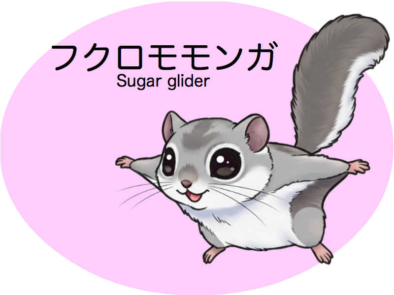 フクモモ　診察