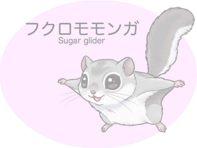 フクモモ　診察