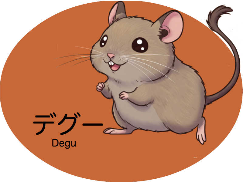 デグー　診察