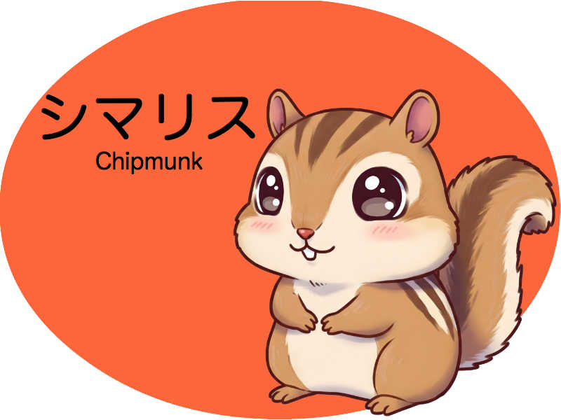 シマリス　診察
