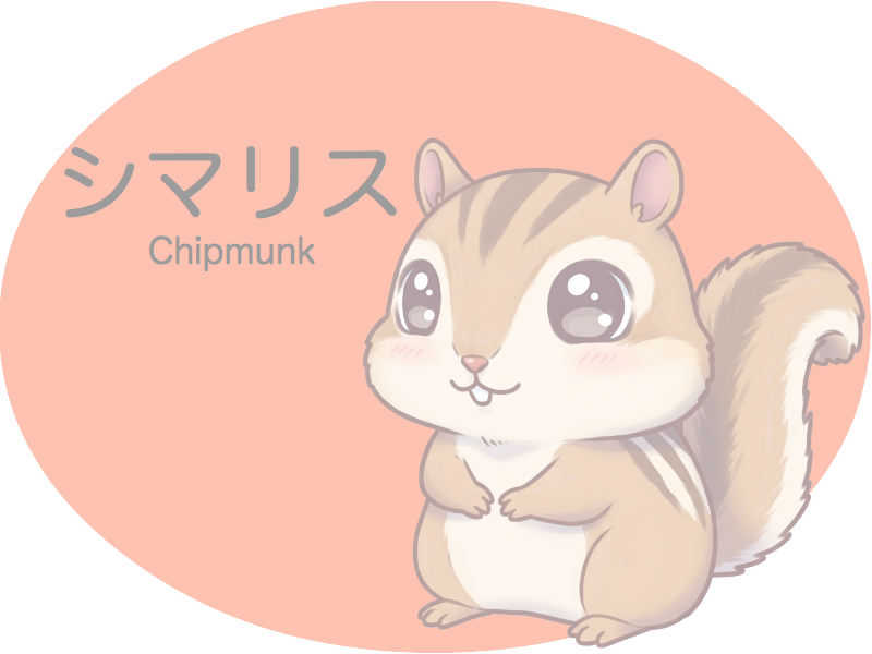 シマリス　診察