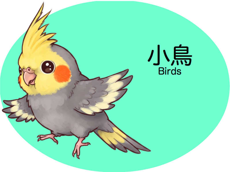 鳥　診察