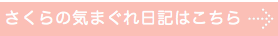 犬　猫　フード