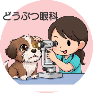 動物　眼科