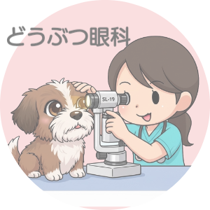 動物　眼科