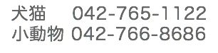 動物病院 電話番号
