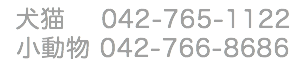 動物病院 電話番号