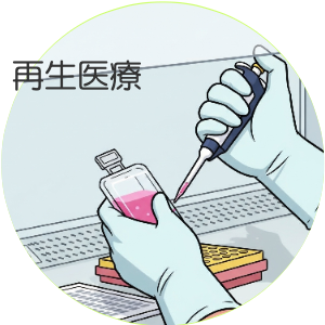 動物　再生医療