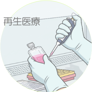 動物　再生医療