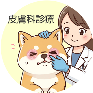 皮膚科　専門