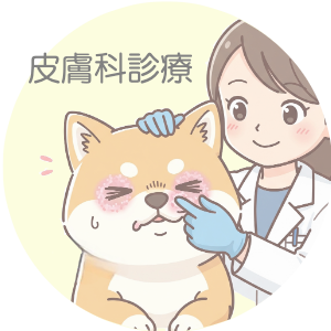 皮膚科　専門