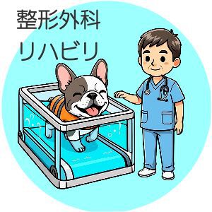 整形外科　リハビリ　動物