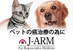 再生医療 J-ARM