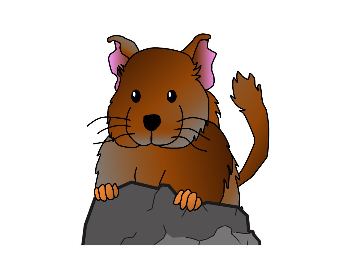 デグー 町田