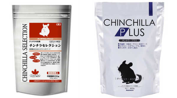 チンチラ 厚木