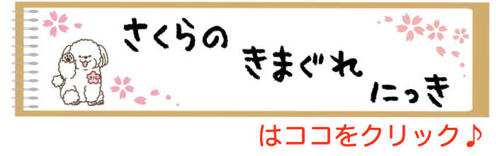 動物病院 ブログ