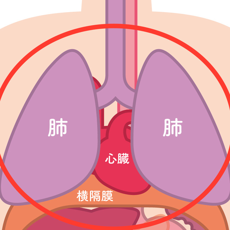 胸腔