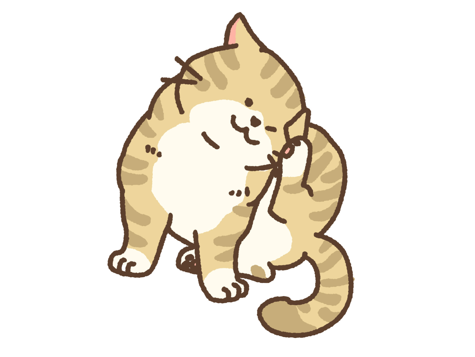 犬 猫 かゆい