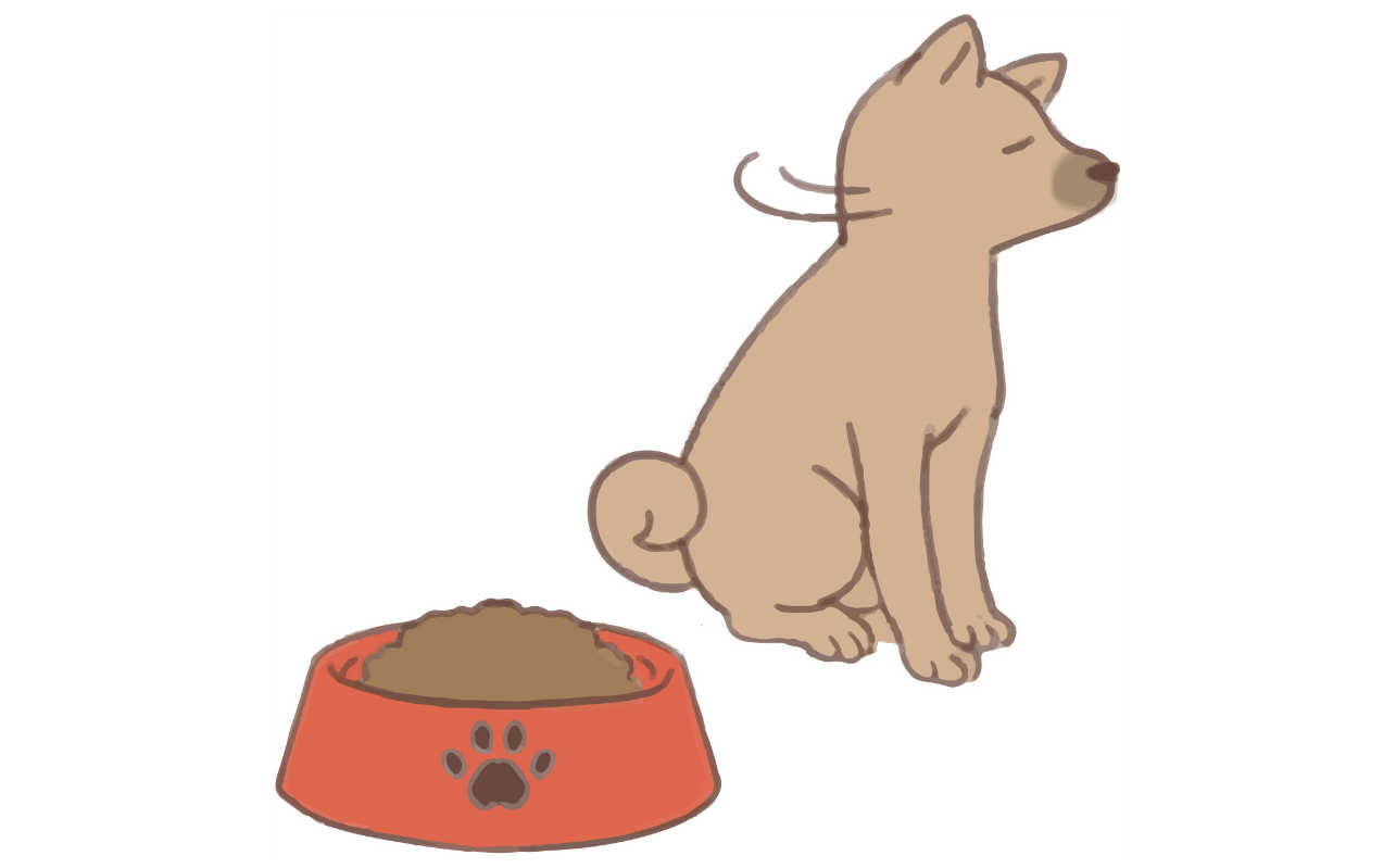 犬 ごはん食べない