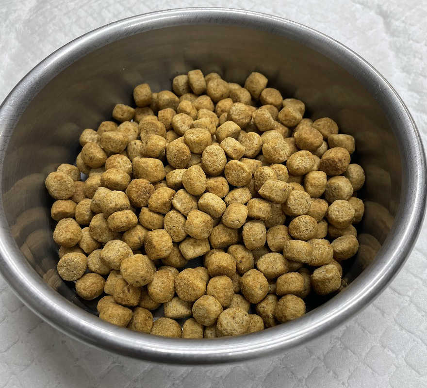 犬 食べない