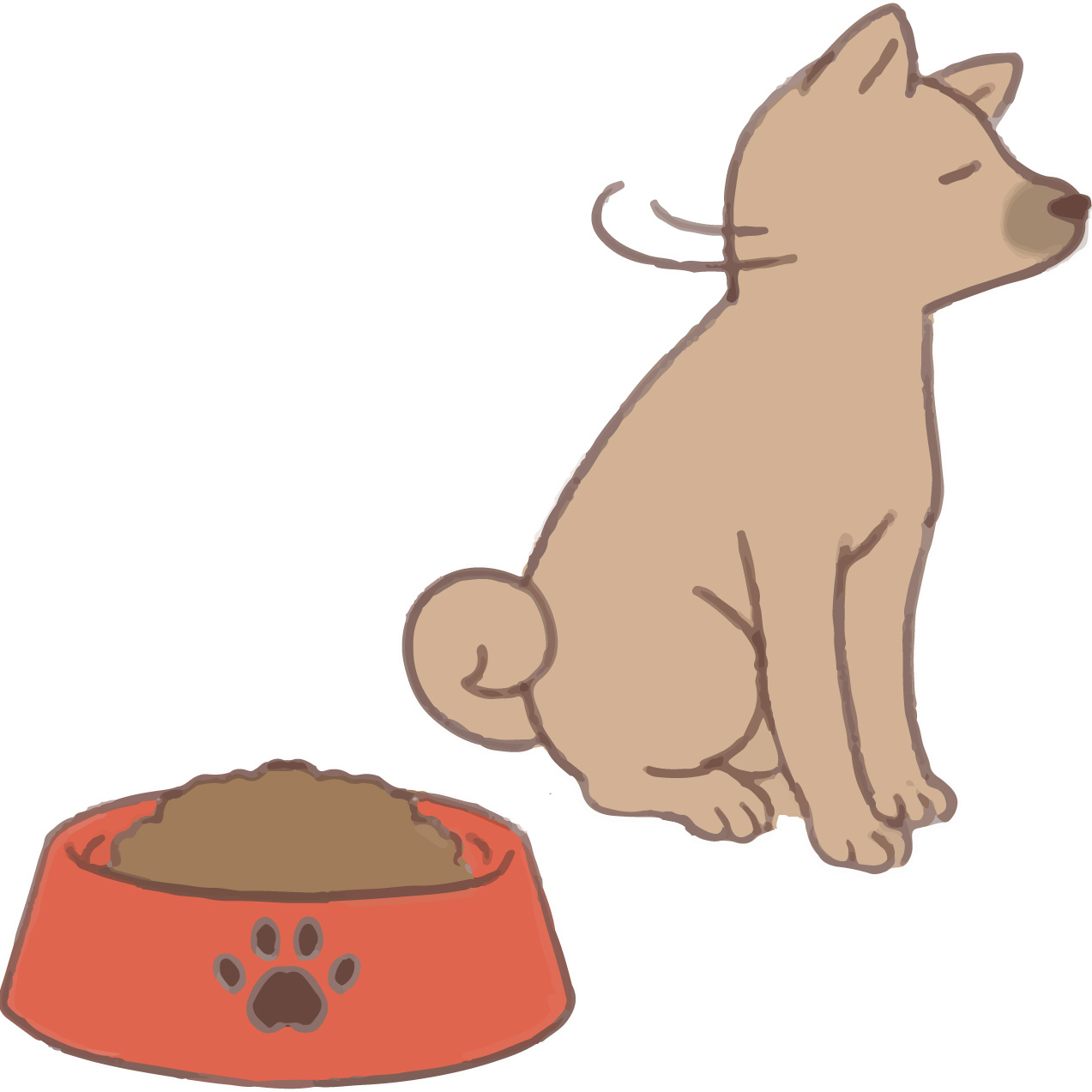 歯のトラブル　犬