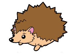 ハリネズミ 町田