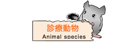 犬 猫 うさぎ エキゾチック