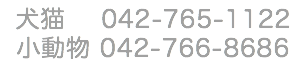 動物病院　電話番号