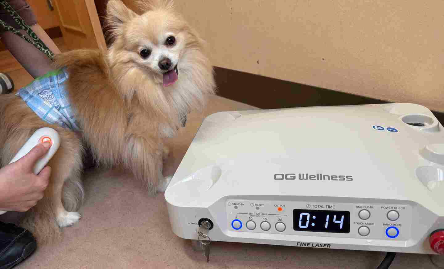 リハビリ レーザー