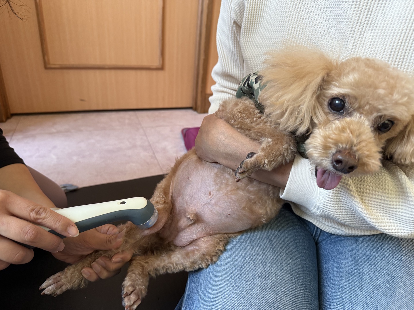 リハビリ 超音波