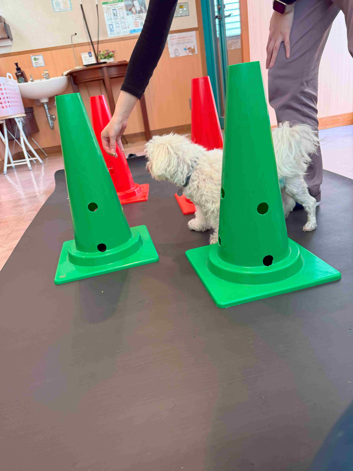 コーンを使用したリハビリ