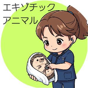 整形外科　リハビリ　動物