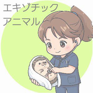 整形外科　リハビリ　動物