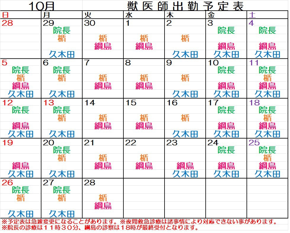 動物病院　人気