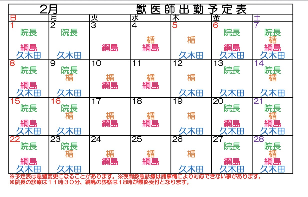 動物病院　人気