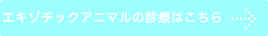 エキゾ　治療　手術