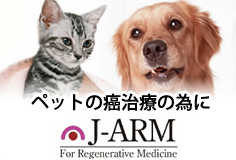 再生医療　J-ARM