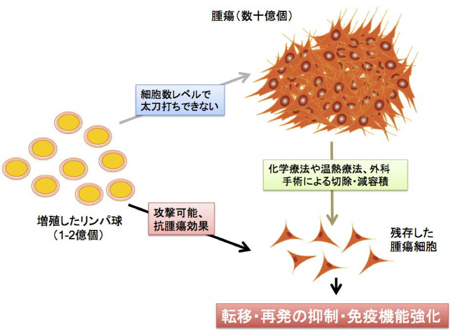 がん　治療