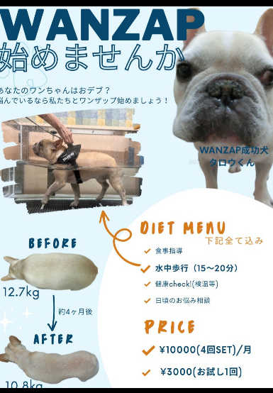 犬　ダイエット