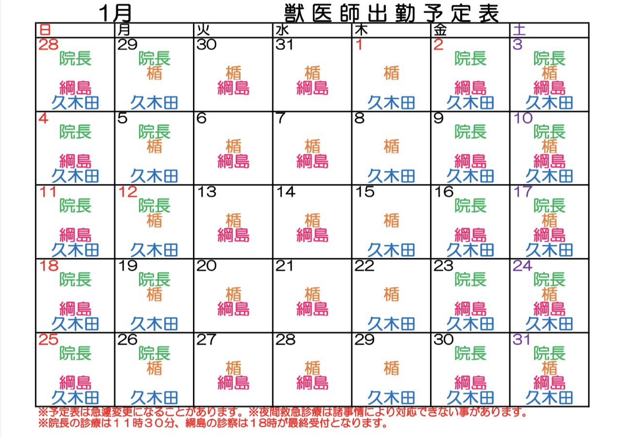 動物病院　人気