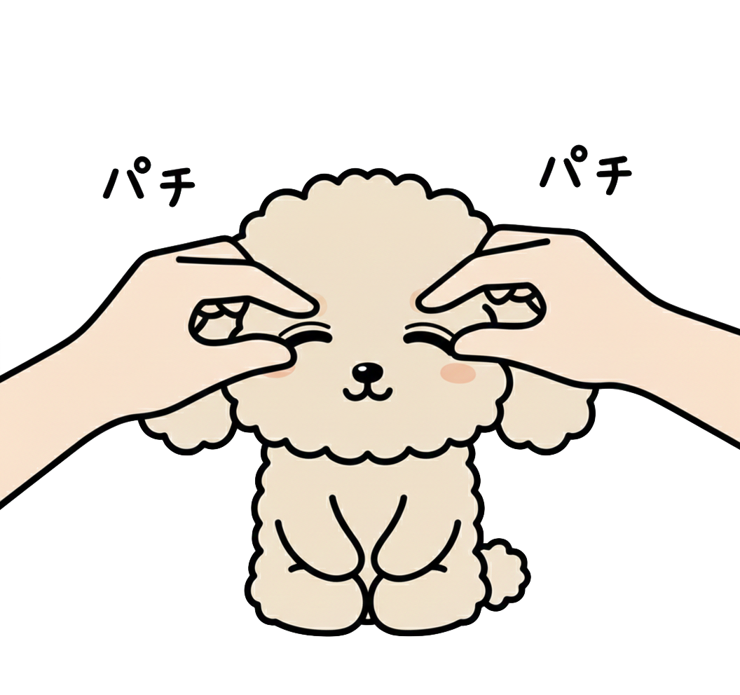 眼瞼マッサージ