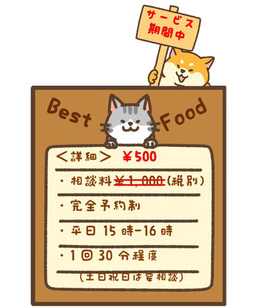 ごはん フード 相談