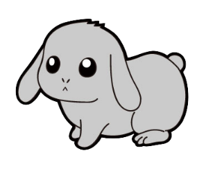 ウサギ 大和